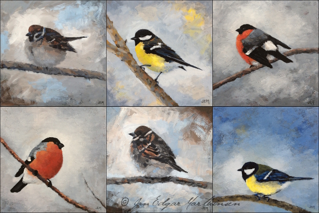 New bird paintings